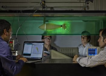 A robot fish is helping the Navy improve underwater movement