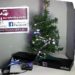 Help light an IPv6-enabled Christmas tree