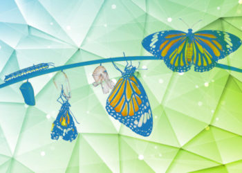 IoT in manufacturing: The four stages of maturity