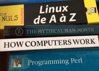 Read all about IT: CEOs see IT as more important than ever